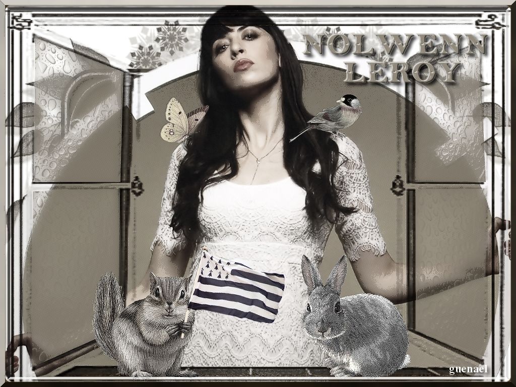 nolwenn leroy