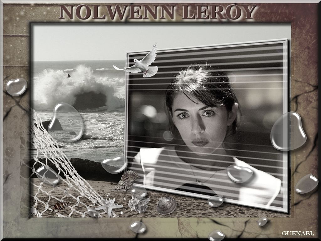 nolwenn leroy