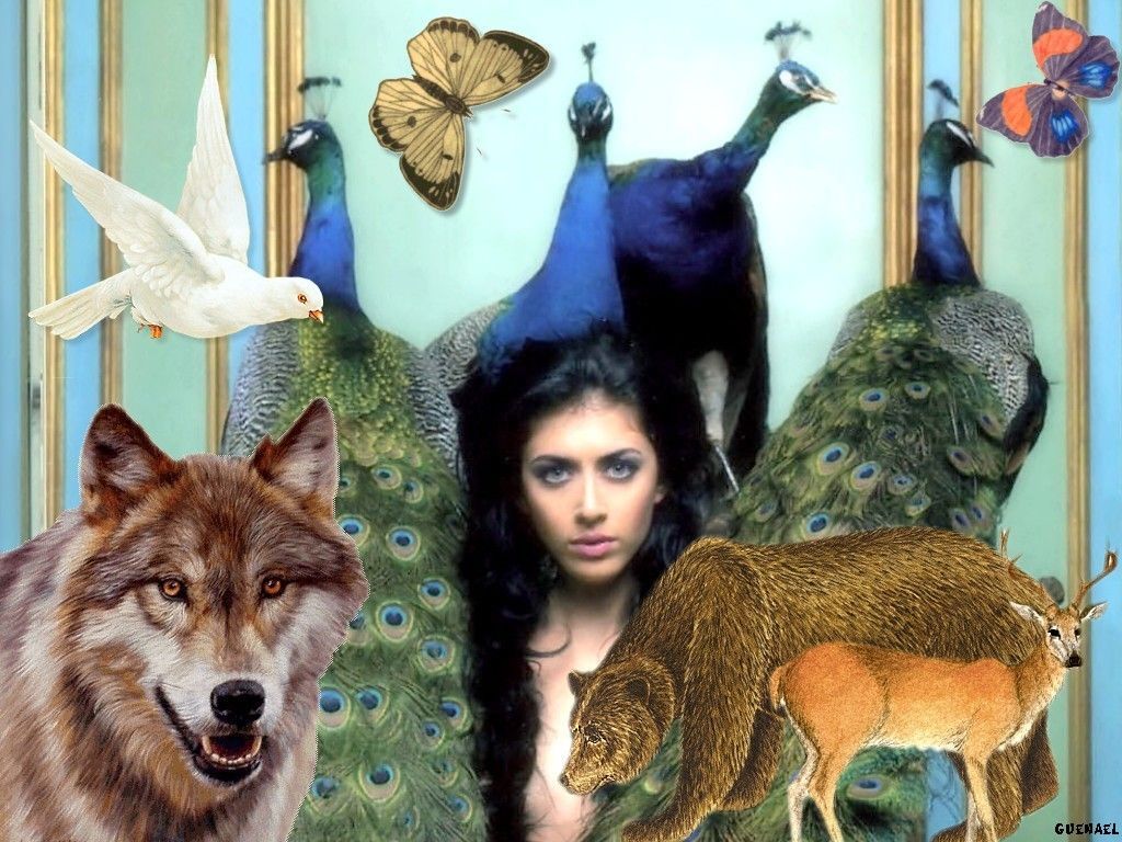 nolwenn leroy - Page 19