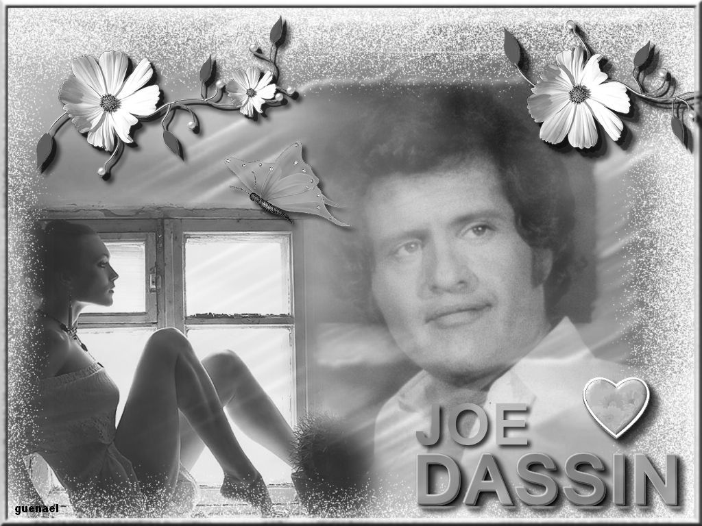 joe dassin hommage 2010 by